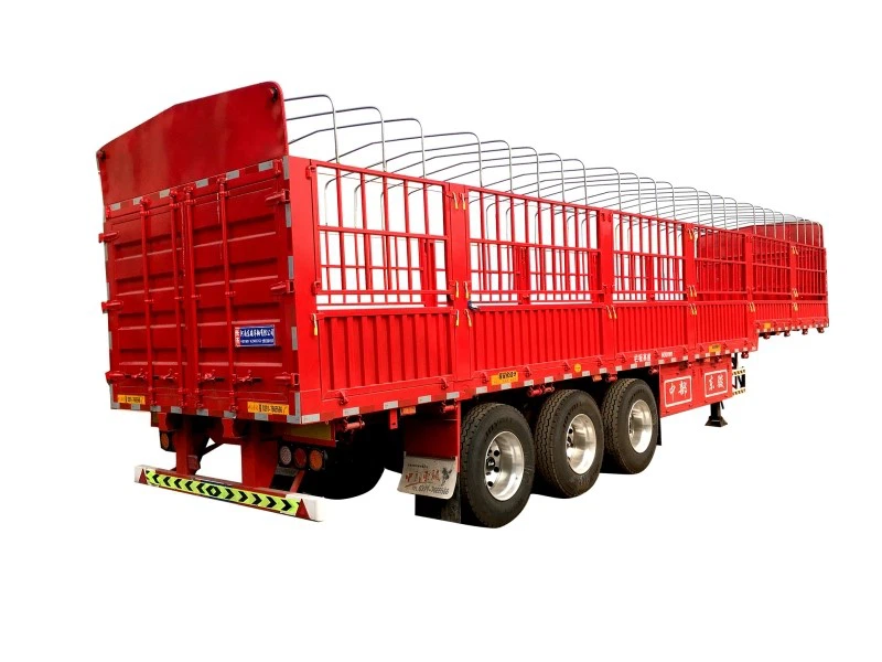 product-800-600